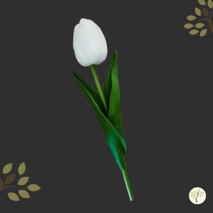 gumi tulipán fehér